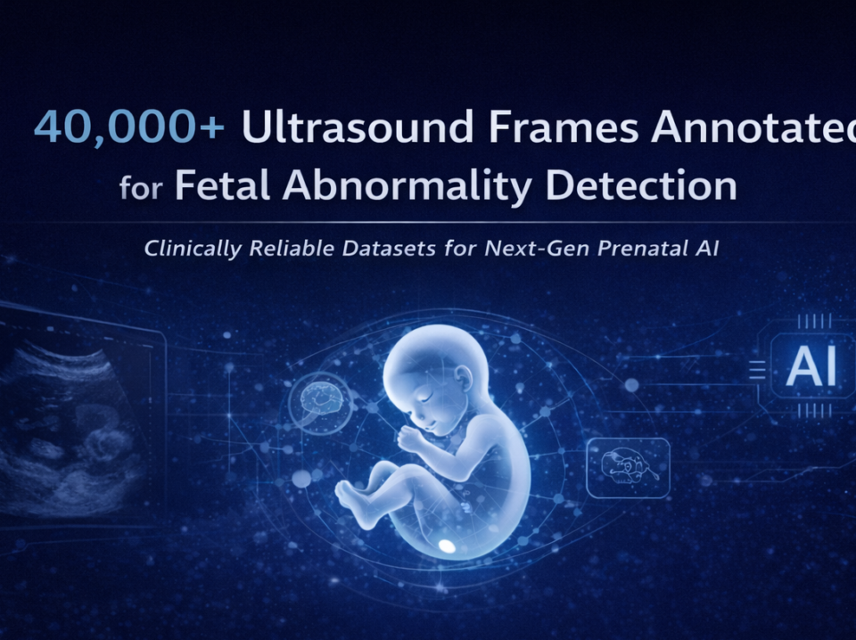 40,000+ Ultrasound Frames Annotated for Fetal Abnormality Detection