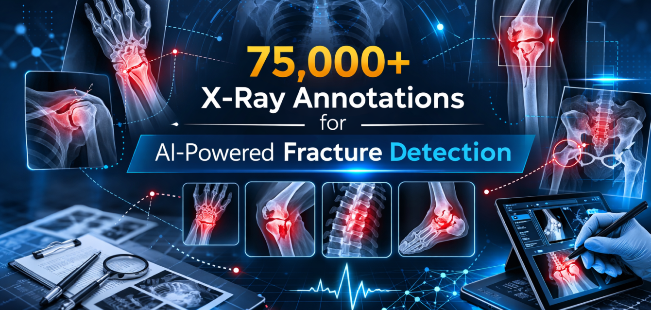 X-Ray Annotations