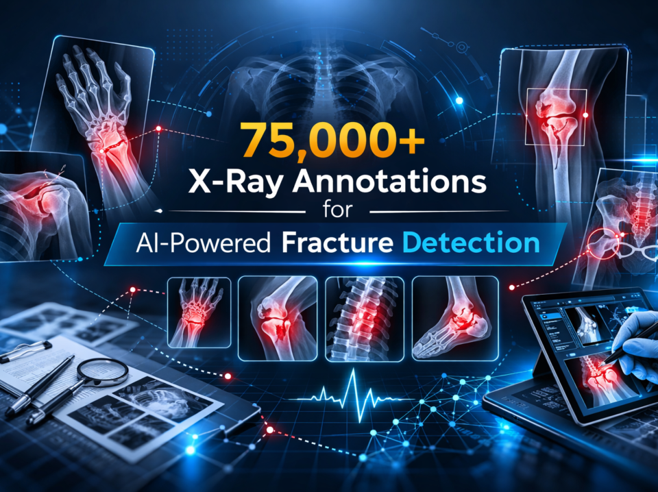 X-Ray Annotations